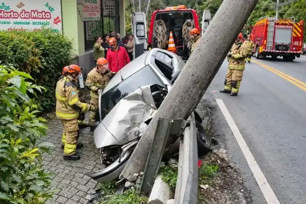 Bombeiros atendem acidente com carro e poste na RJ-116