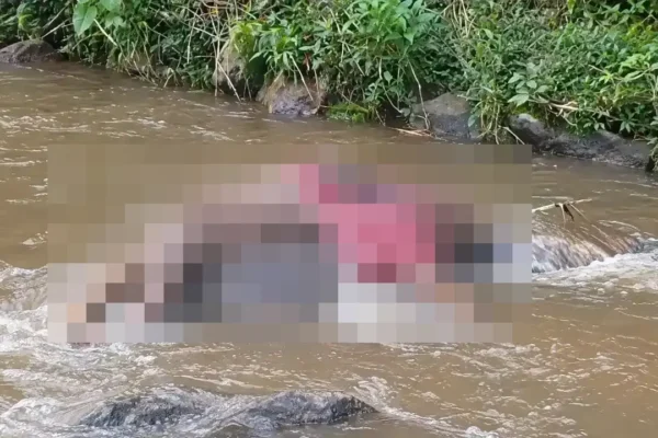 Polícia é acionada para investigar corpo em rio de Nova Friburgo