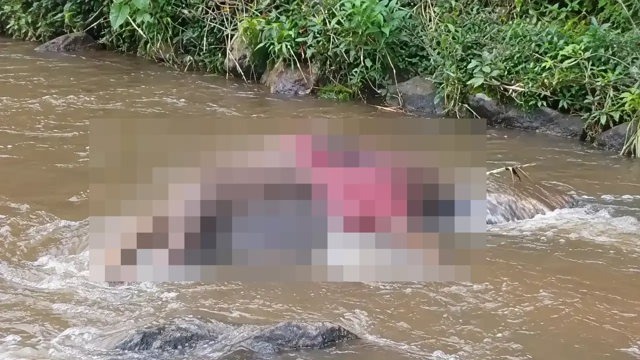 Polícia é acionada para investigar corpo em rio de Nova Friburgo