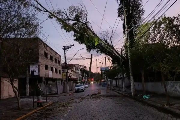 Árvore caída sobre a fiação na Rua General Osório, em Nova Friburgo