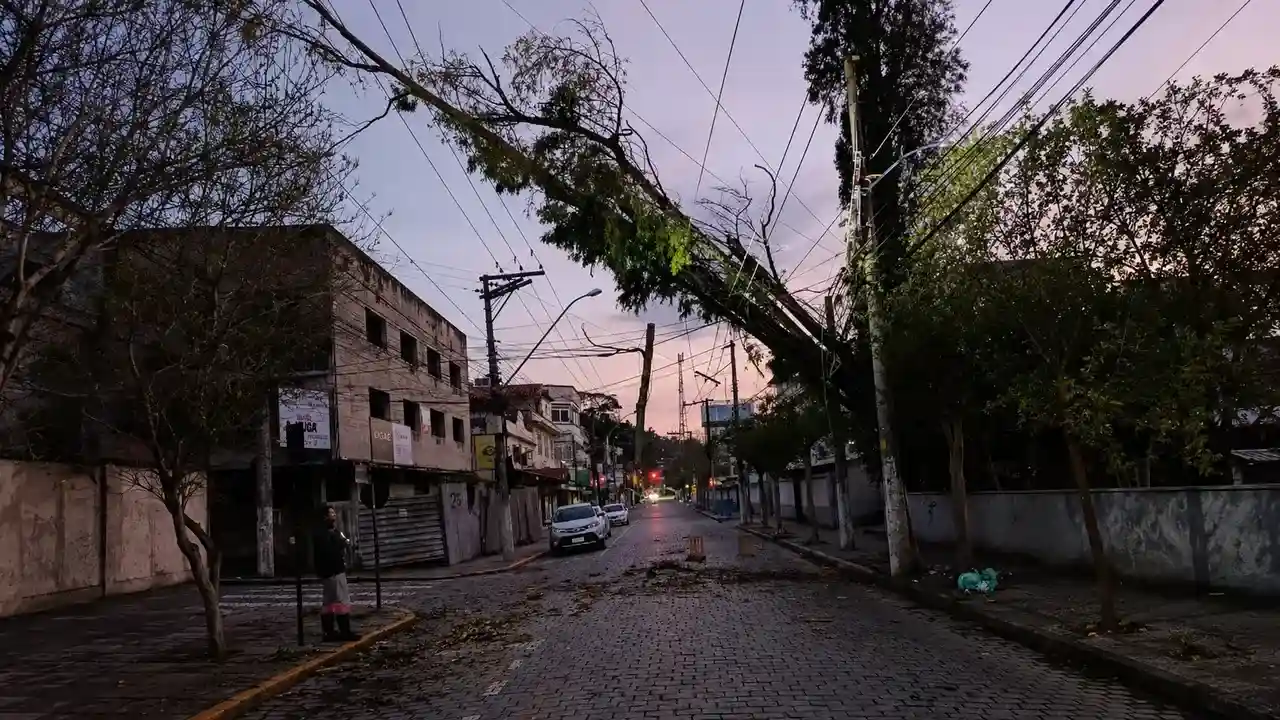 Árvore caída sobre a fiação na Rua General Osório, em Nova Friburgo