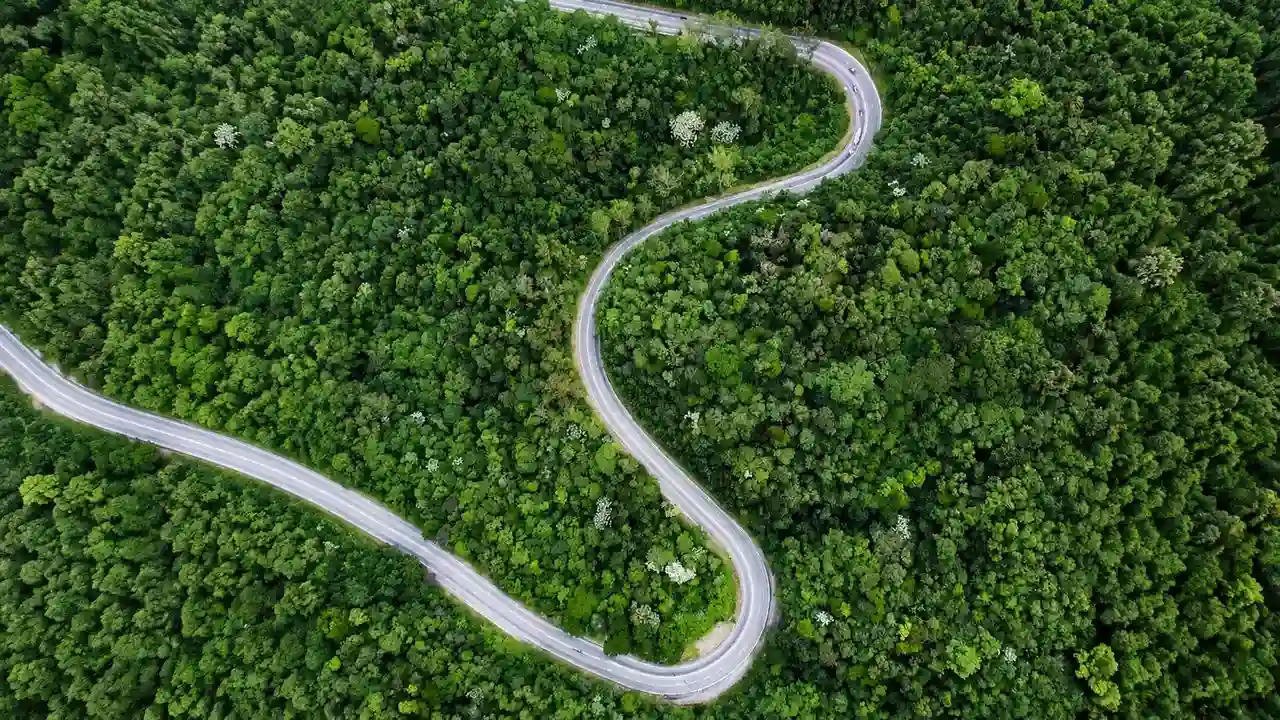 Imagens aéreas revelam curvas da RJ-116 cercadas pela Mata Atlântica