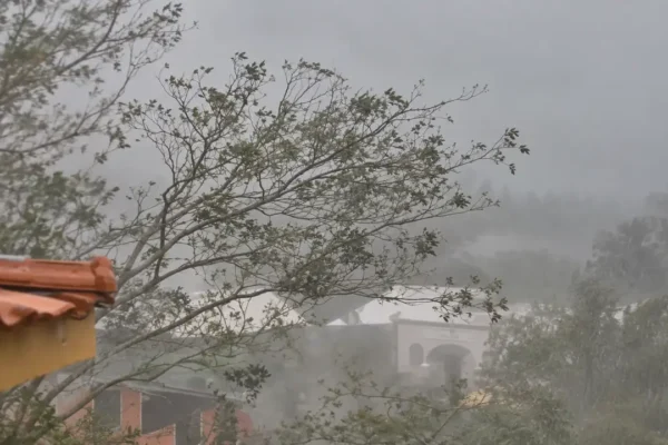 Árvore em primeiro plano e casas ao fundo, com visibilidade reduzida pela chuva.