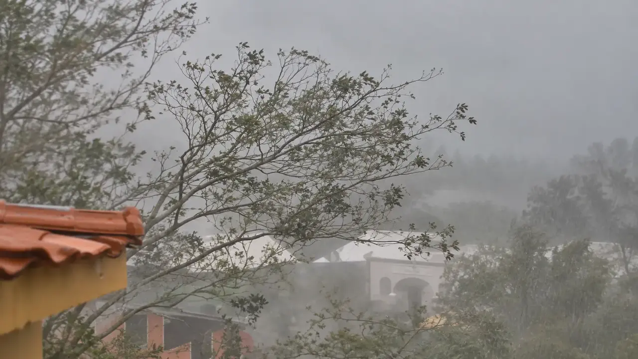 Árvore em primeiro plano e casas ao fundo, com visibilidade reduzida pela chuva.
