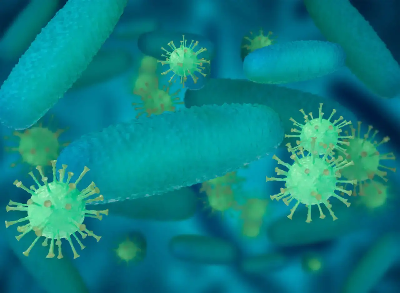 Ilustração de microrganismos com formas alongadas e esféricas em tons de azul e verde.