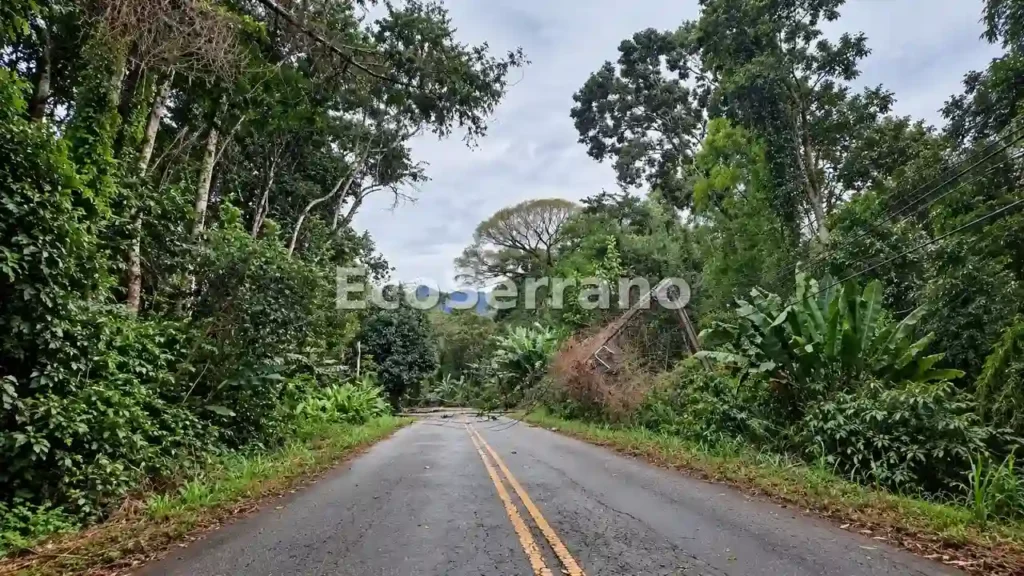 Árvores e postes caídos fecham completamente a Estrada Serramar