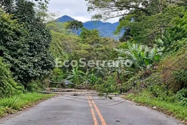Árvores e postes caídos fecham completamente a Estrada Serramar