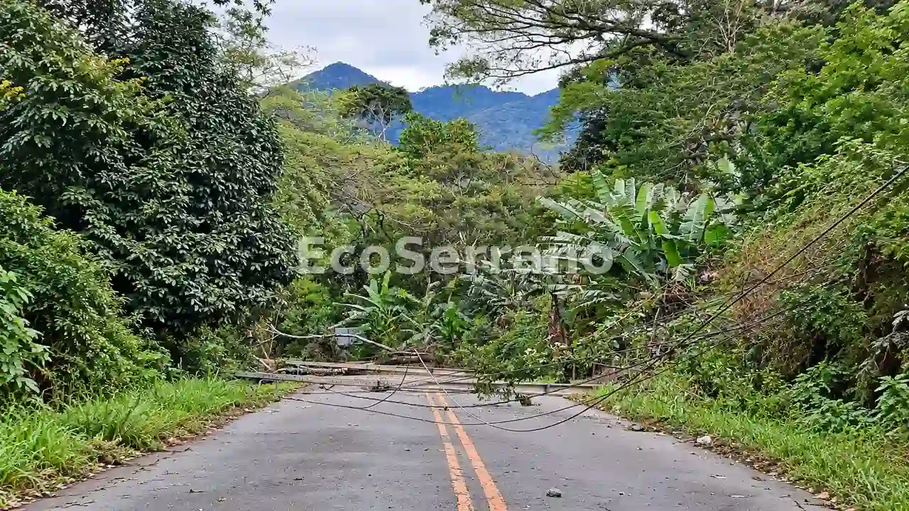 Árvores e postes caídos fecham completamente a Estrada Serramar