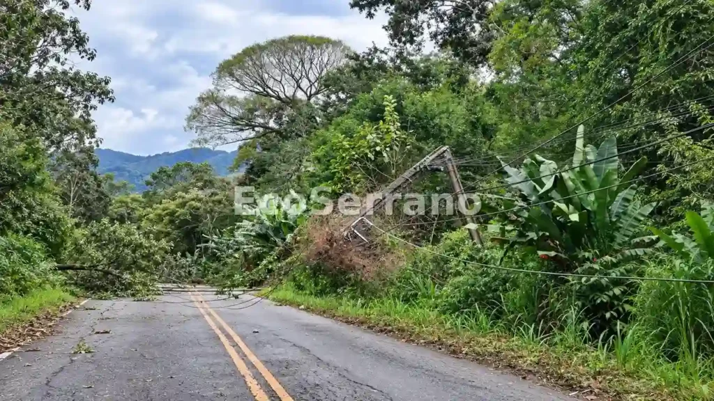 Árvores e postes caídos fecham completamente a Estrada Serramar