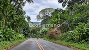 Árvores e postes caídos fecham completamente a Estrada Serramar