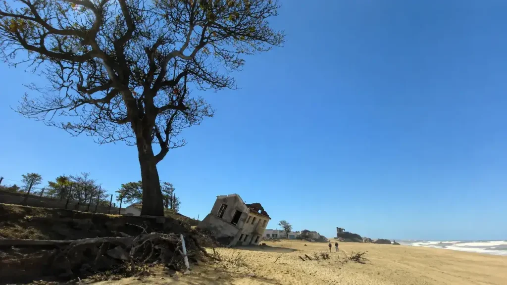 Árvore permanece em área cercada por casas destruídas pelo mar em Atafona