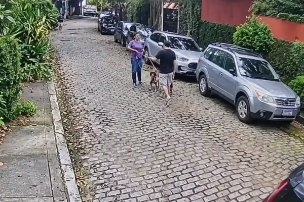 Mulher com cachorras e motorista em rua da Gávea, no Rio