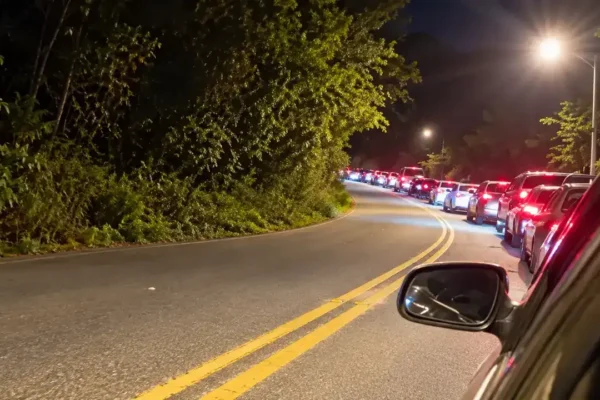 Fila de veículos à noite em uma rodovia, com luzes traseiras acesas e vegetação nas margens.
