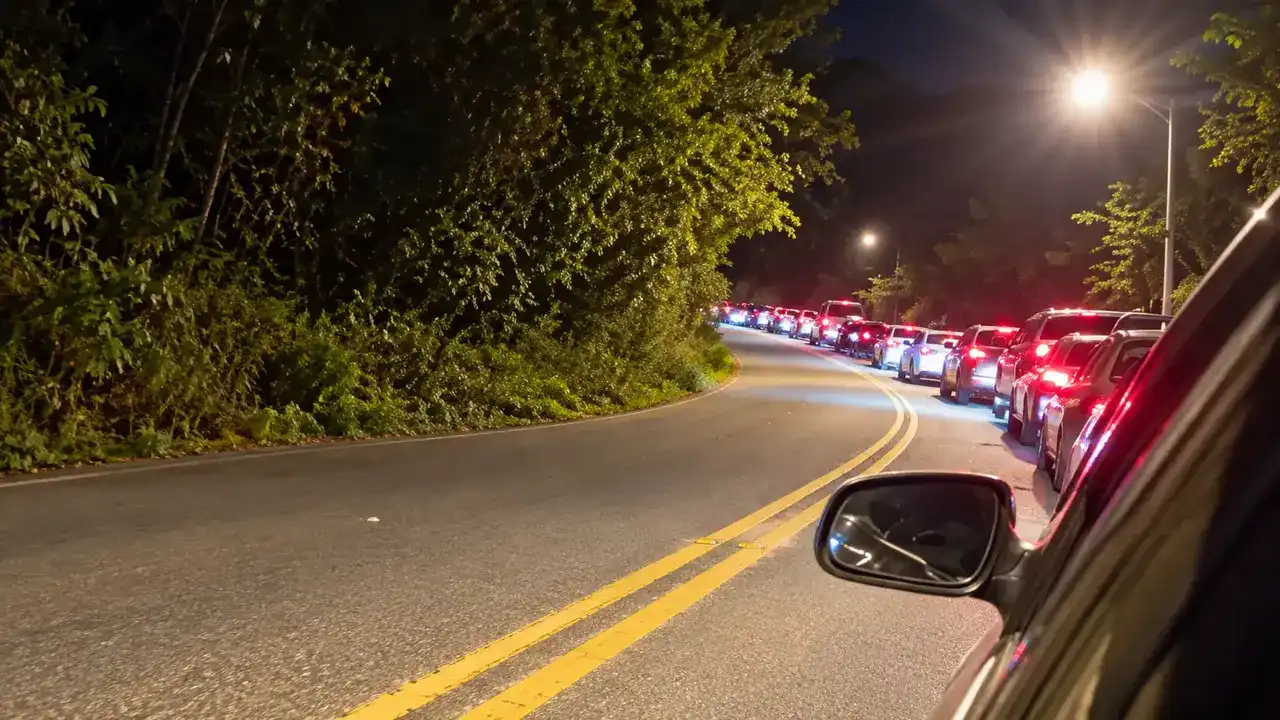 Fila de veículos à noite em uma rodovia, com luzes traseiras acesas e vegetação nas margens.