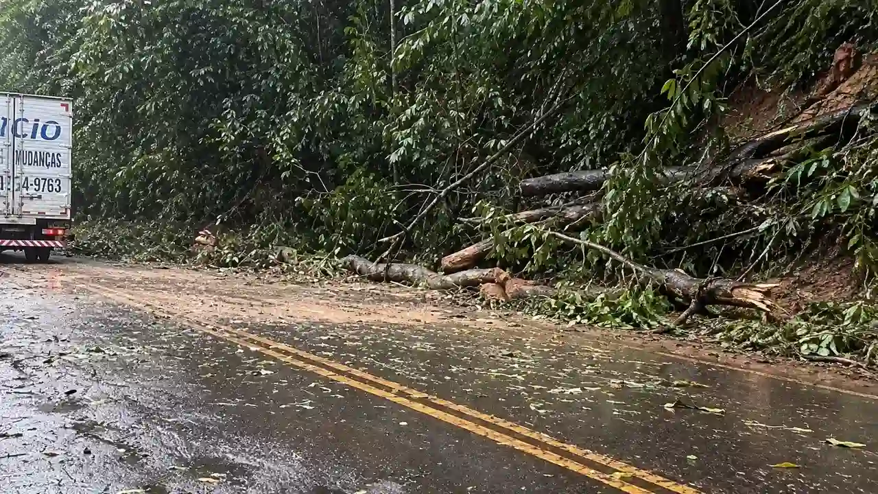 Estrada Serramar com pista molhada e galhos na lateral após queda de barreira em Casimiro de Abreu.